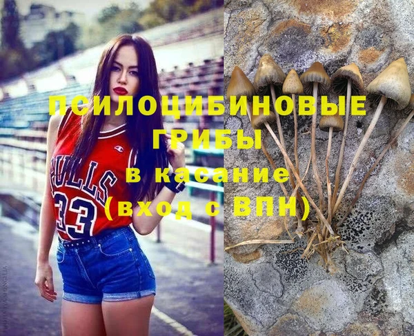 хмурый Няндома