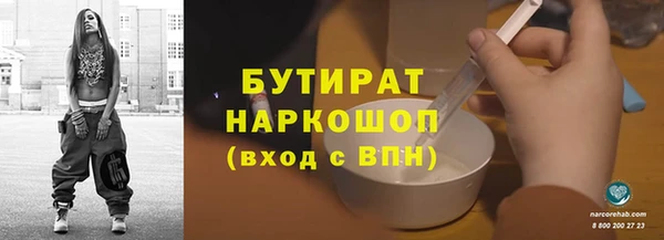 хмурый Няндома