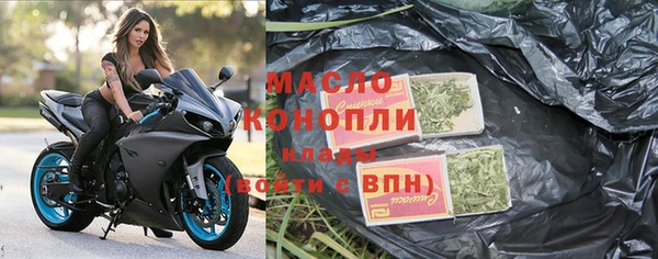 хмурый Няндома