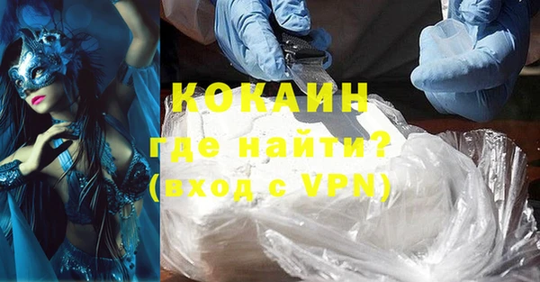 хмурый Няндома