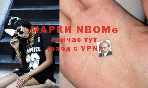 хмурый Няндома
