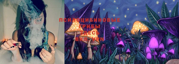 хмурый Няндома