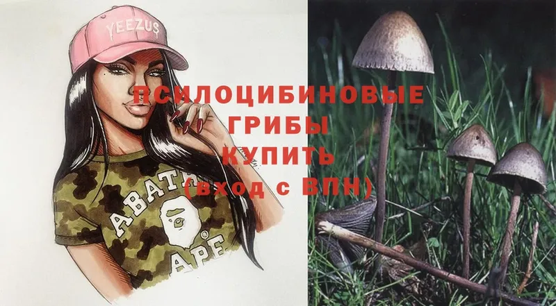 где можно купить   Бабушкин  Псилоцибиновые грибы Magic Shrooms 